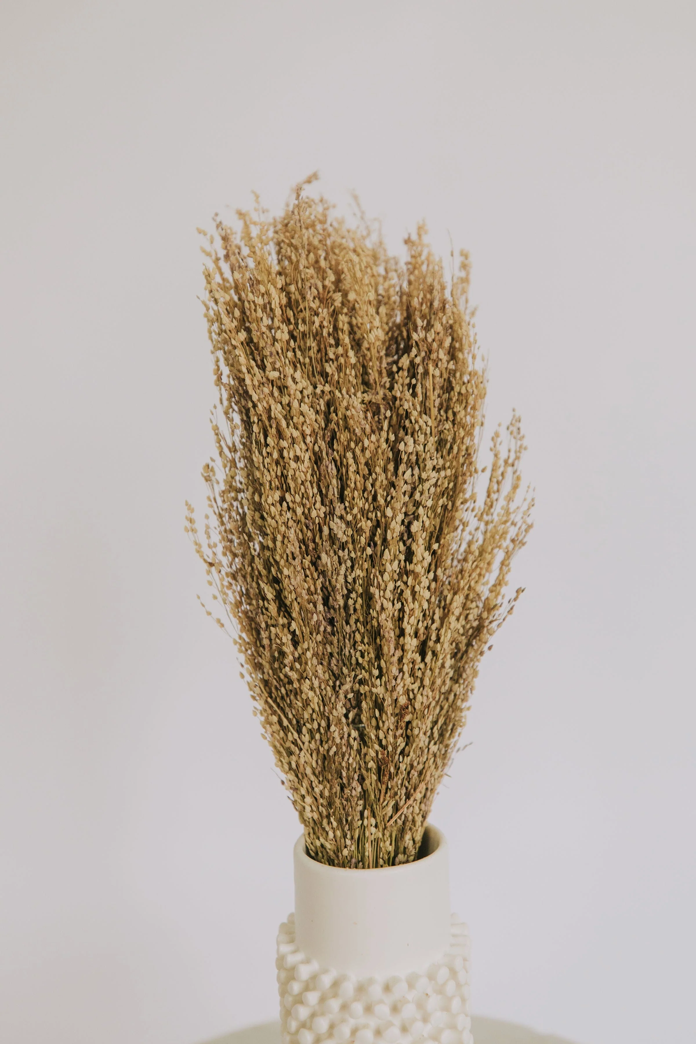 Dried Natural Star Grass Bunch - Image 3